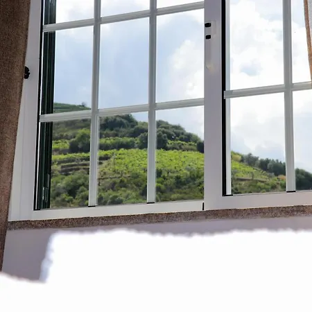 Gospodarstwo agroturystyczne Quinta Do Monte Bravo - Douro - Quarto Duplo *
