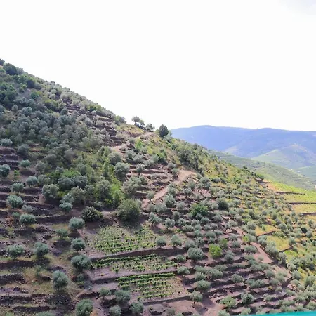 Quinta Do Monte Bravo - Douro - Quarto Duplo *