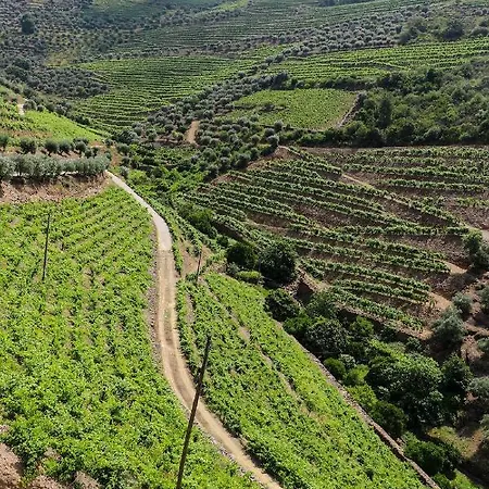 Quinta Do Monte Bravo - Douro - Quarto Duplo *