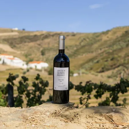 Quinta Do Monte Bravo - Douro - Quarto Duplo Gospodarstwo agroturystyczne