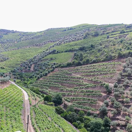 Quinta Do Monte Bravo - Douro - Quarto Duplo * Ervedosa do Douro